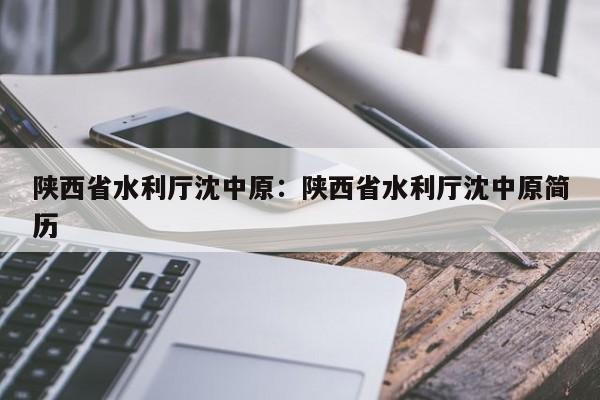 陕西省水利厅沈中原：陕西省水利厅沈中原简历