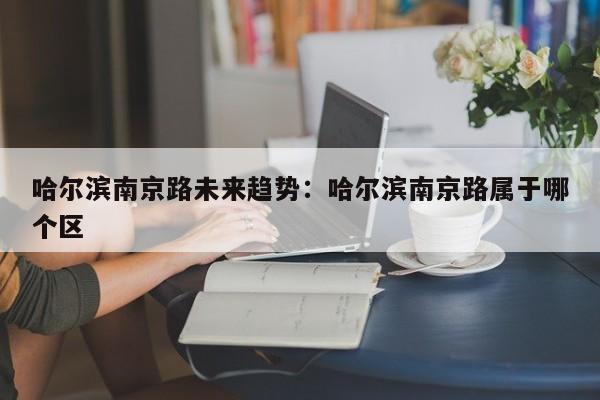哈尔滨南京路未来趋势：哈尔滨南京路属于哪个区