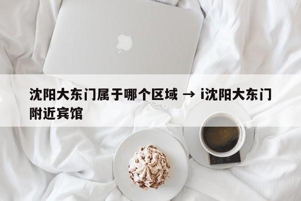 沈阳大东门属于哪个区域 → i沈阳大东门附近宾馆