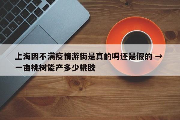 上海因不满疫情游街是真的吗还是假的 → 一亩桃树能产多少桃胶