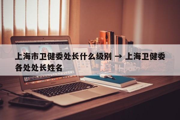 上海市卫健委处长什么级别 → 上海卫健委各处处长姓名
