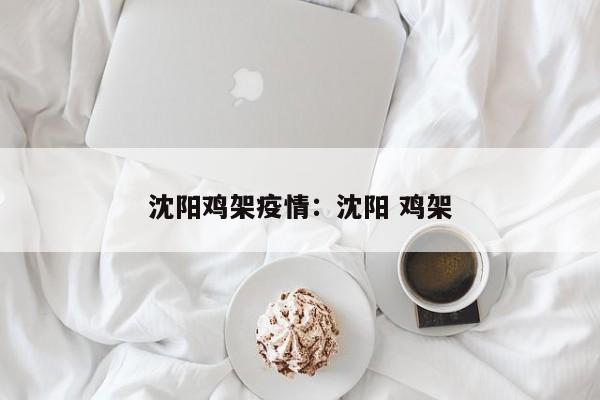 沈阳鸡架疫情：沈阳 鸡架