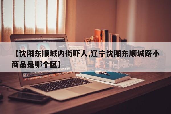 【沈阳东顺城内街吓人,辽宁沈阳东顺城路小商品是哪个区】
