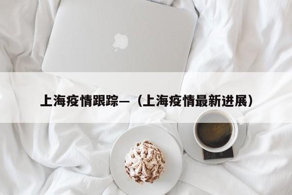 上海疫情跟踪—（上海疫情最新进展）