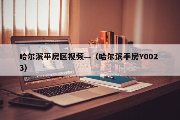 哈尔滨平房区视频—（哈尔滨平房Y002 3）