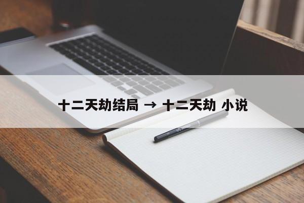 十二天劫结局 → 十二天劫 小说