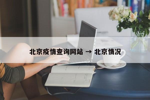 北京疫情查询网站 → 北京情况