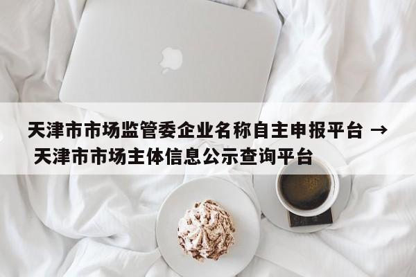 天津市市场监管委企业名称自主申报平台 → 天津市市场主体信息公示查询平台