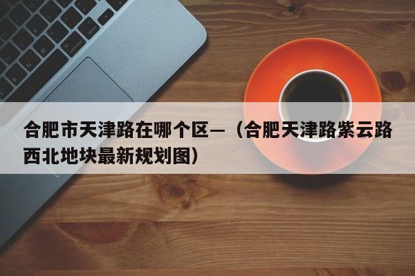 合肥市天津路在哪个区—（合肥天津路紫云路西北地块最新规划图）