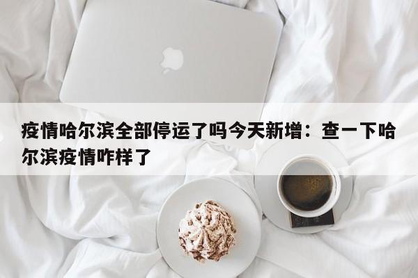 疫情哈尔滨全部停运了吗今天新增：查一下哈尔滨疫情咋样了