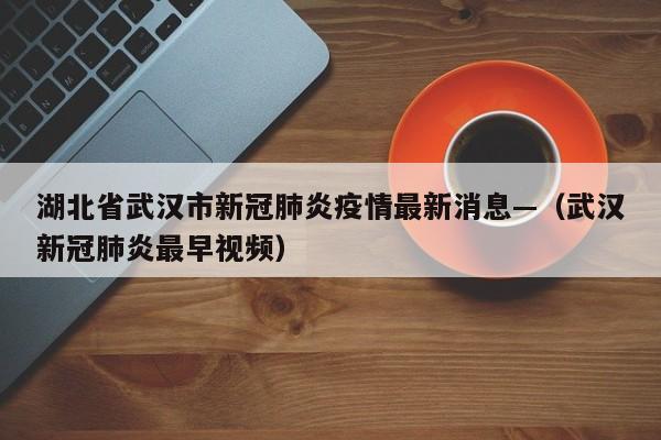 湖北省武汉市新冠肺炎疫情最新消息—（武汉新冠肺炎最早视频）