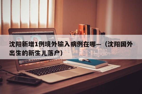 沈阳新增1例境外输入病例在哪—（沈阳国外出生的新生儿落户）